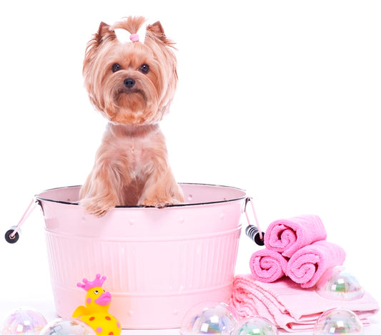 Dog Grooming Products - Bubble Bath Box