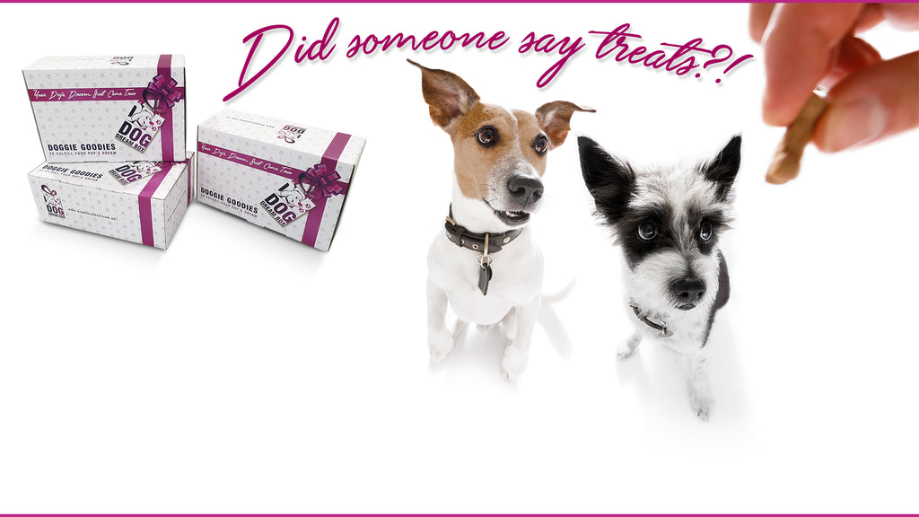 Dog Treats Box - Australia made Dog Treats