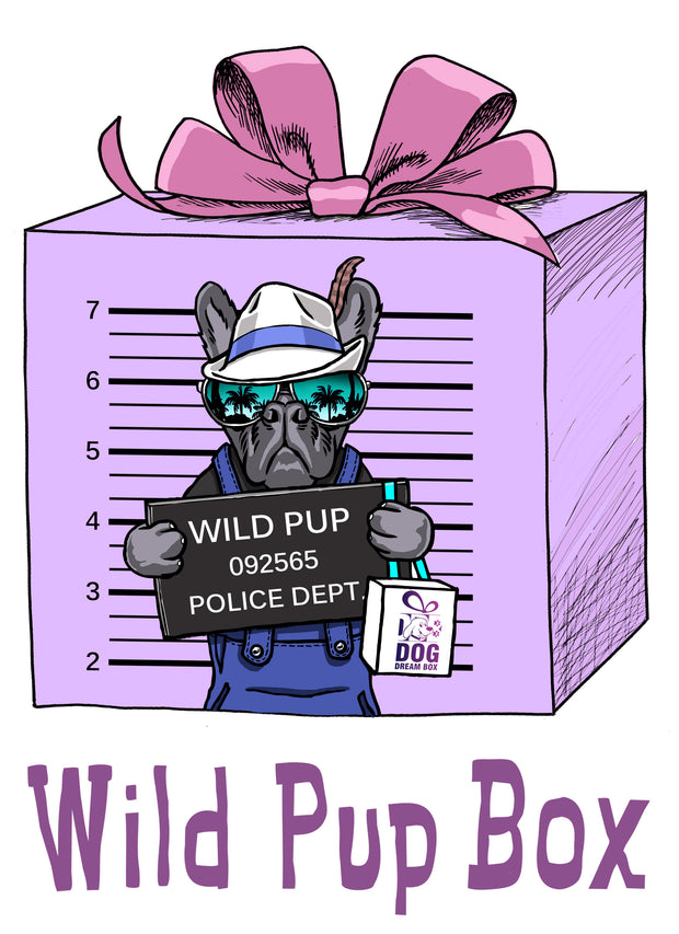 Wild Pup Gift Box - Super Tough Durable Dog Toys & Treats for Chewers